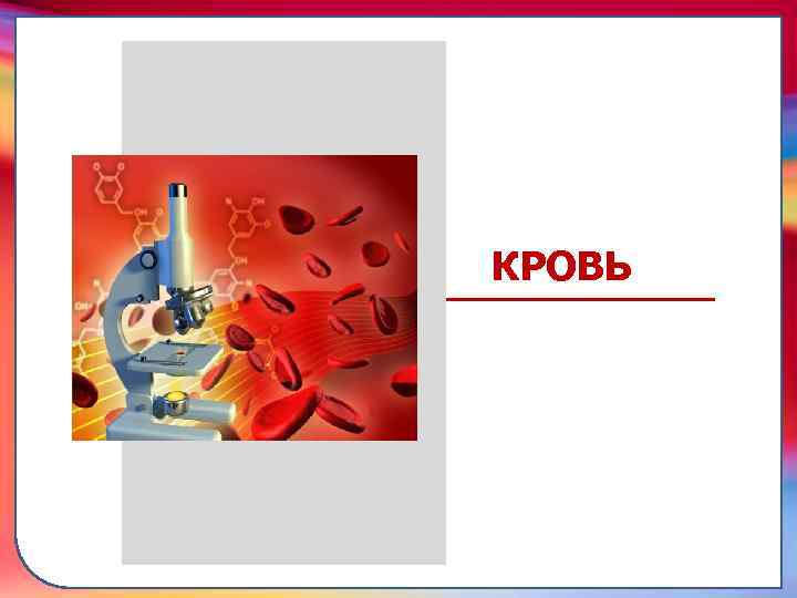 складками его внутренней оболочки, обеспечивает однонаправленный ток крови за счет перекрывания венозных и артериальных