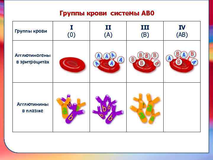 Агглютинин α. Группы крови таблица агглютиногены. Группы крови агглютиногены и агглютинины. Агглютинины в плазме крови. Агглютиногены эритроцитов.