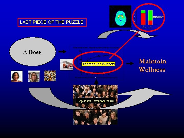 LAST PIECE OF THE PUZZLE ∆ Dose Therapeutic Window Population Pharmacokinetics Maintain Wellness 