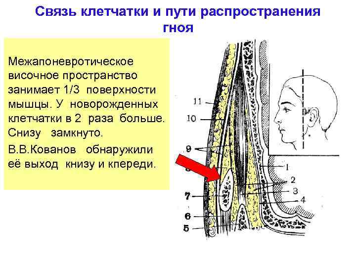 Пространство занимаемое