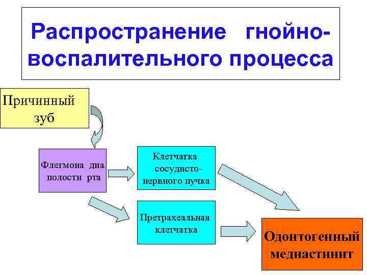 Распространение гнойновоспалительного процесса Причинный зуб Флегмона дна полости рта Клетчатка сосудистонервного пучка Претрахеальная клетчатка