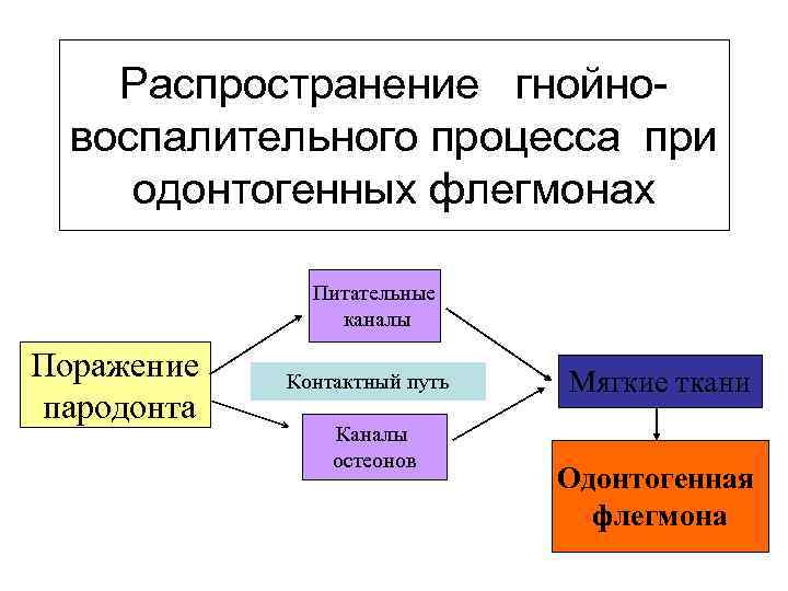 Распространение гнойновоспалительного процесса при одонтогенных флегмонах Питательные каналы Поражение пародонта Контактный путь Каналы остеонов