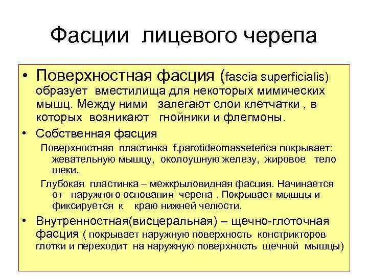 Фасции лицевого черепа • Поверхностная фасция (fascia superficialis) образует вместилища для некоторых мимических мышц.