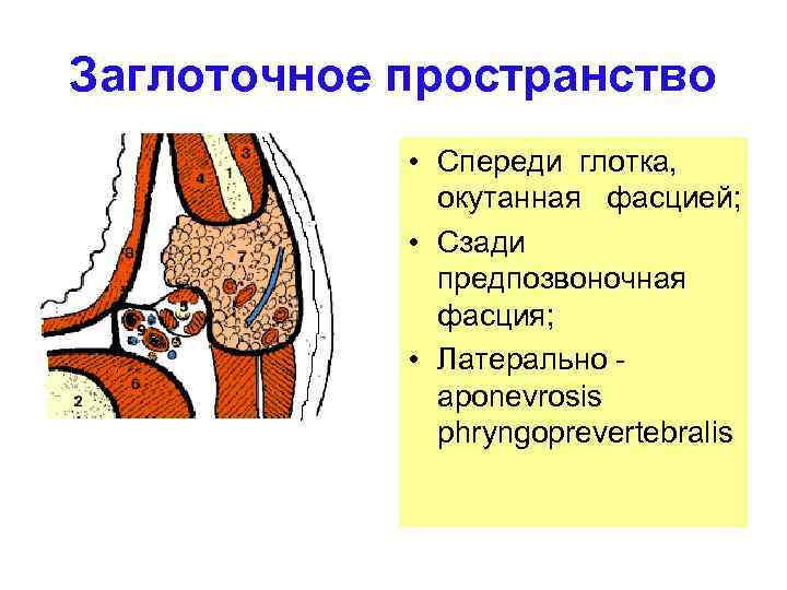 Одонтогенный медиастинит презентация