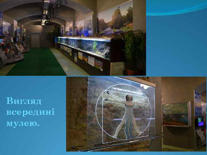 Вигляд всередині музею. 