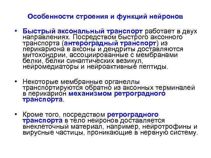 Особенности строения и функций нейронов • Быстрый аксональный транспорт работает в двух направлениях. Посредством