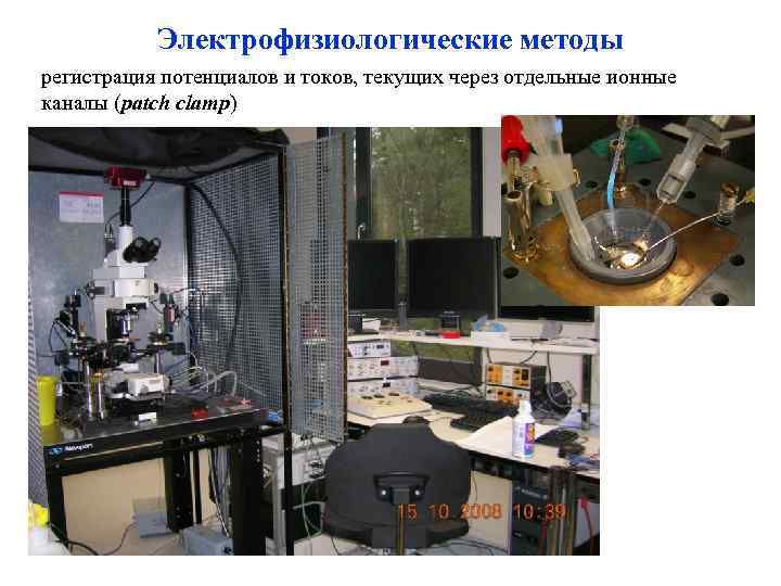 Электрофизиологические методы регистрация потенциалов и токов, текущих через отдельные ионные каналы (patch clamp) 