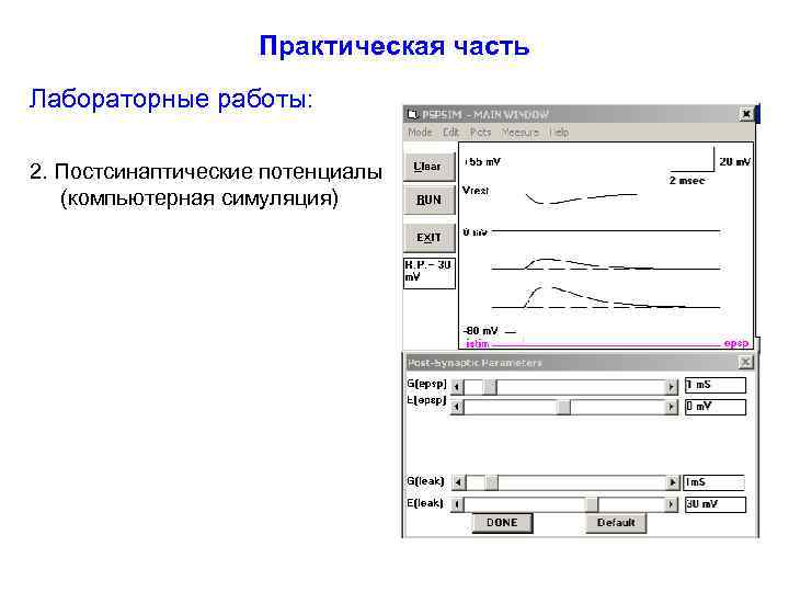 Практическая часть Лабораторные работы: 2. Постсинаптические потенциалы (компьютерная симуляция) 