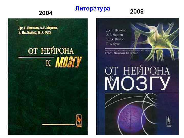 Книги по нейрофизиологии