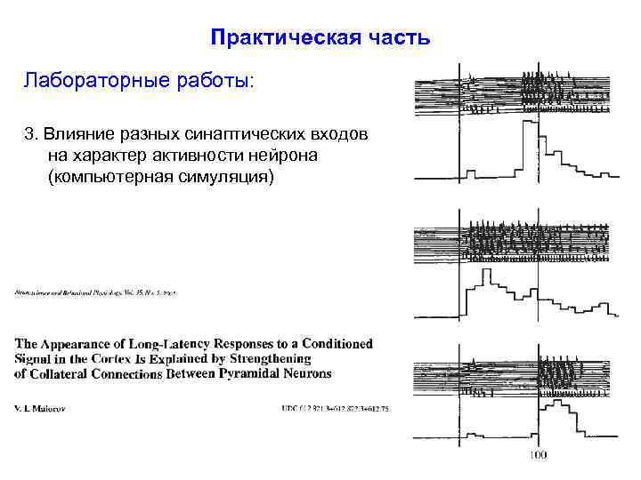 Практическая часть Лабораторные работы: 3. Влияние разных синаптических входов на характер активности нейрона (компьютерная