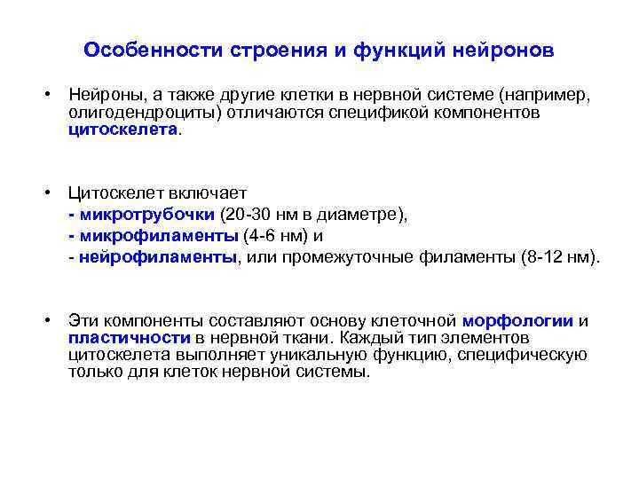 Особенности строения и функций нейронов • Нейроны, а также другие клетки в нервной системе