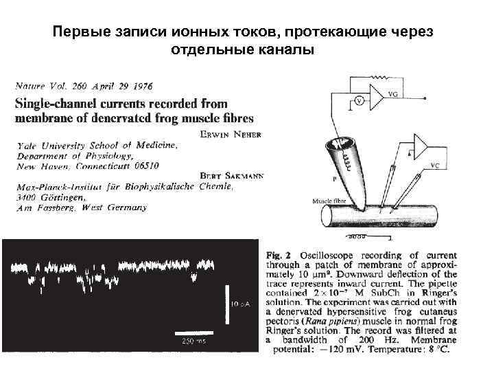 Первые записи ионных токов, протекающие через отдельные каналы 