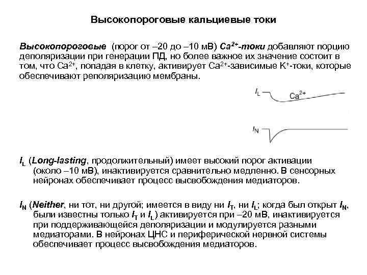 Высокопороговые кальциевые токи Высокопороговые (порог от – 20 до – 10 м. В) Ca