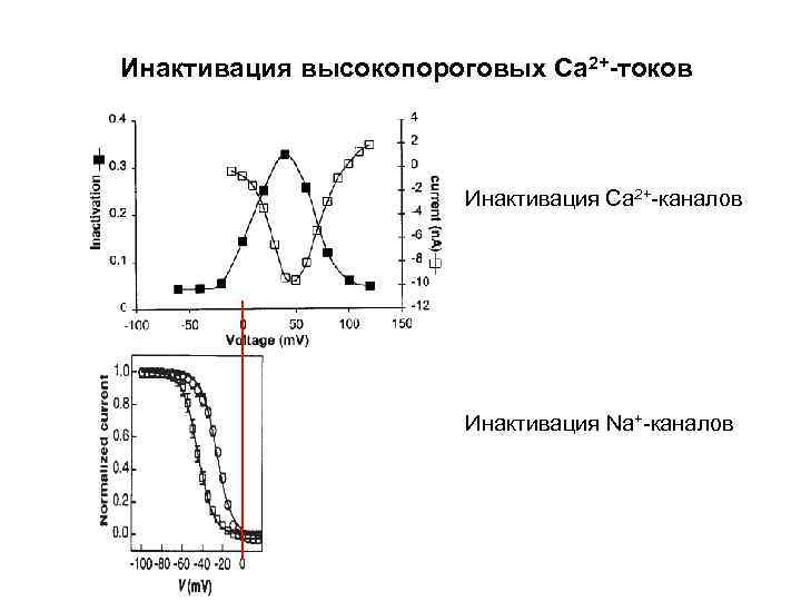 Инактивация высокопороговых Са 2+-токов Инактивация Са 2+-каналов Инактивация Na+-каналов 