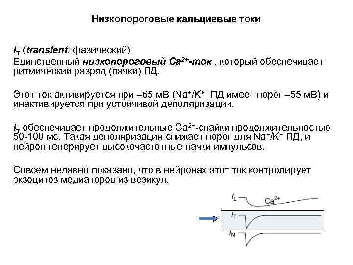 Низкопороговые кальциевые токи IT (transient, фазический) Единственный низкопороговый Са 2+-ток , который обеспечивает ритмический