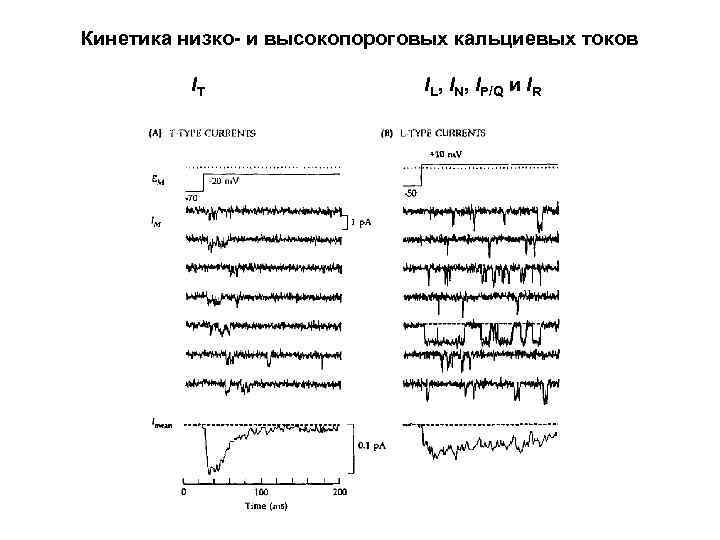 Кинетика низко- и высокопороговых кальциевых токов IT IL, IN, IP/Q и IR 