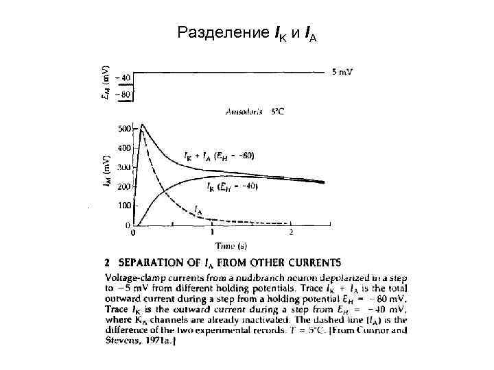 Разделение IK и IA 