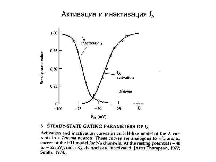 Активация и инактивация IA 