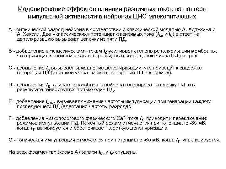 Моделирование эффектов влияния различных токов на паттерн импульсной активности в нейронах ЦНС млекопитающих А