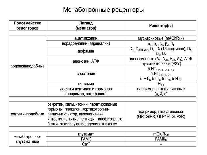 Метаботропные рецепторы 
