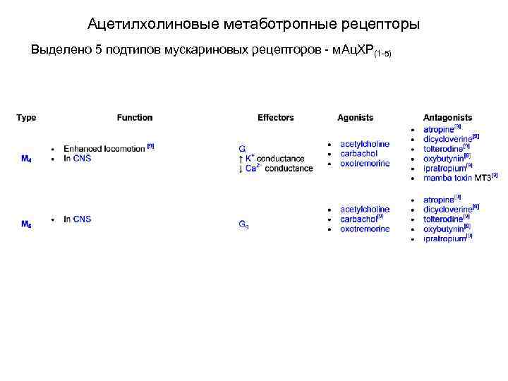 Ацетилхолиновые метаботропные рецепторы Выделено 5 подтипов мускариновых рецепторов - м. Ац. ХР(1 -5) 
