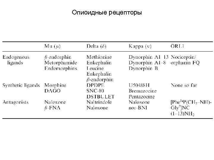 Опиоидные рецепторы 