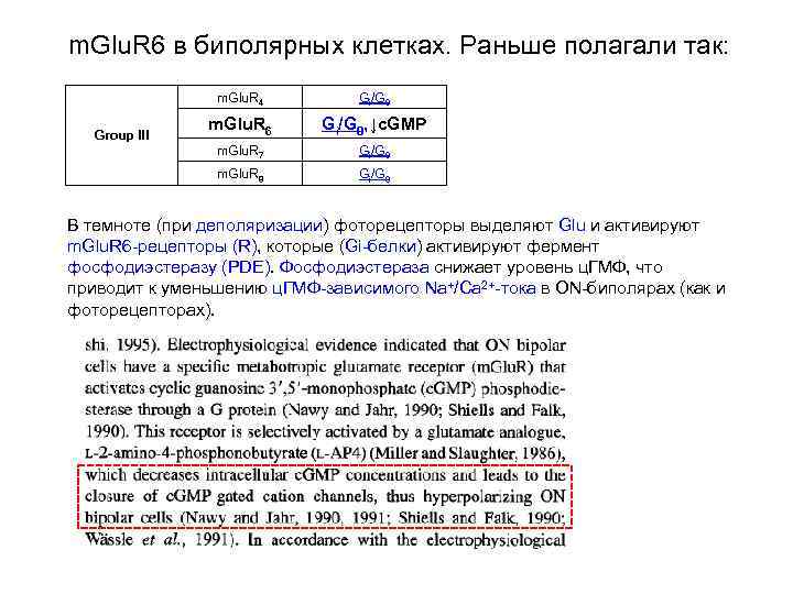m. Glu. R 6 в биполярных клетках. Раньше полагали так: m. Glu. R 4