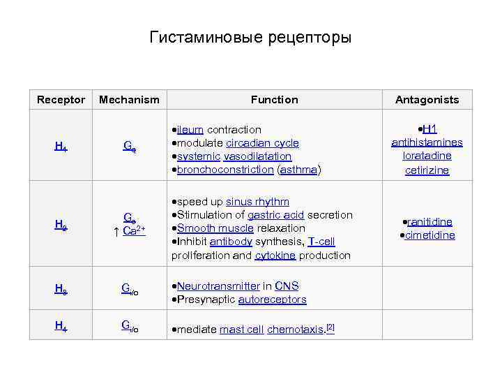 Гистаминовые рецепторы Receptor H 1 Mechanism Gq Function ileum contraction modulate circadian cycle systemic