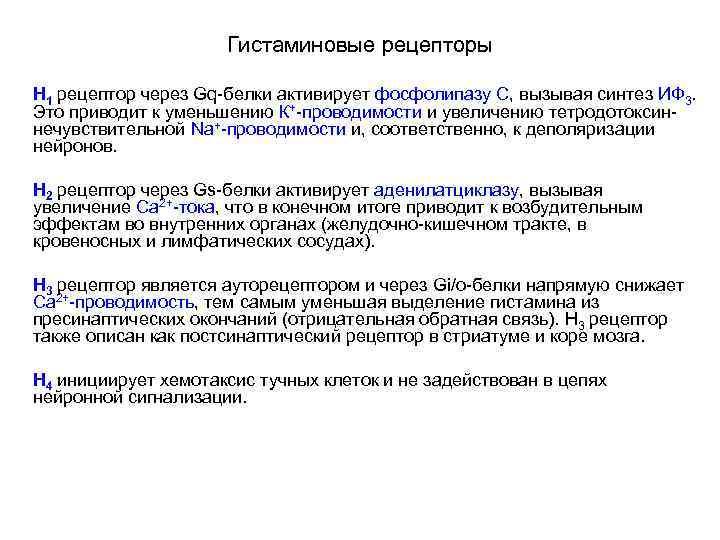 Гистаминовые рецепторы H 1 рецептор через Gq-белки активирует фосфолипазу С, вызывая синтез ИФ 3.