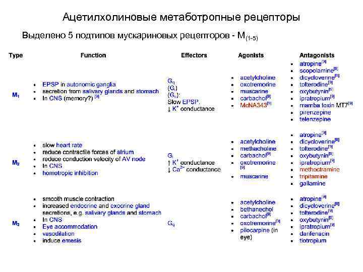 Ацетилхолиновые метаботропные рецепторы Выделено 5 подтипов мускариновых рецепторов - М(1 -5) 