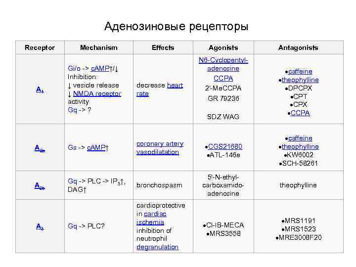 Аденозиновые рецепторы Receptor Mechanism Effects Agonists N 6 -Cyclopentyladenosine CCPA 2'-Me. CCPA GR 79236