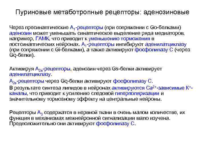 Пуриновые метаботропные рецепторы: аденозиновые Через пресинаптические А 1 -рецепторы (при сопряжении с Go-белками) аденозин