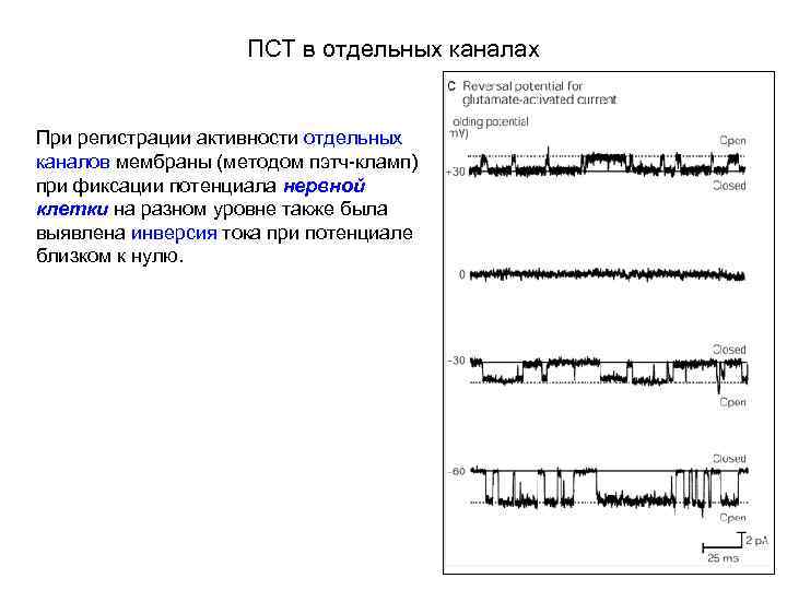 ПСТ в отдельных каналах При регистрации активности отдельных каналов мембраны (методом пэтч-кламп) при фиксации