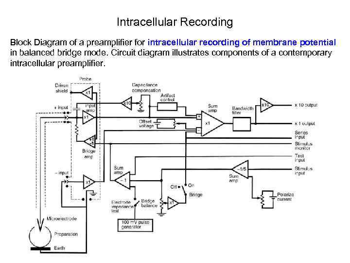 Intracellular Recording Block Diagram of a preamplifier for intracellular recording of membrane potential in