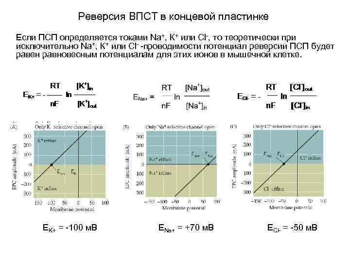 Реверсия