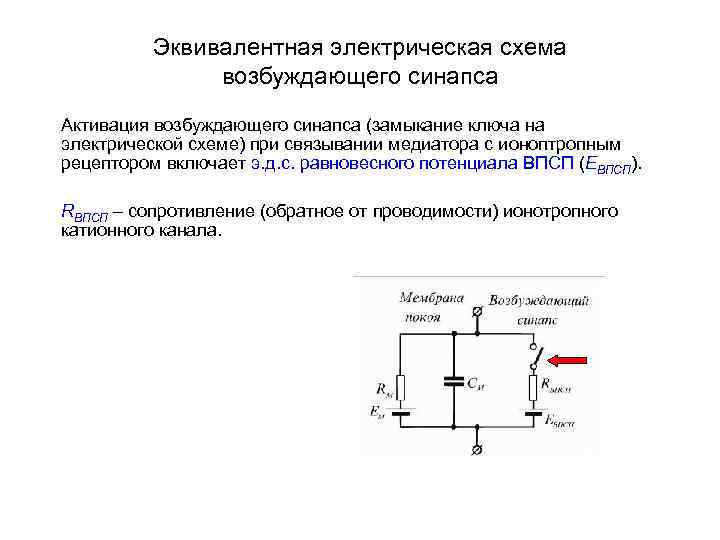 Импеданс тканей организма эквивалентная электрическая схема тканей организма