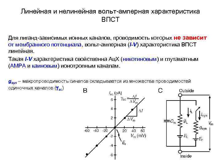 Линейный канал. Вольтамперные характеристики ионных каналов. Вольтамперная характеристика нелинейных. Линейная и нелинейная вах. Вольт амперная характеристика натриевого канала.