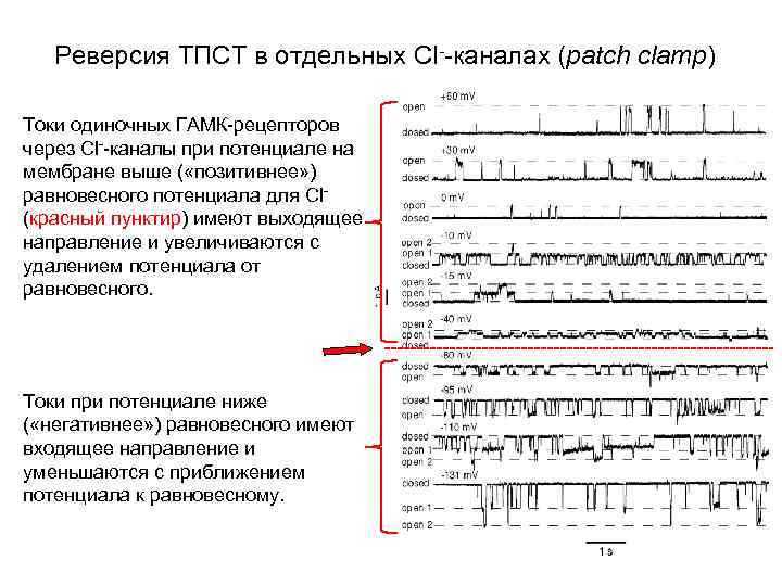 Реверсия ТПСТ в отдельных Cl--каналах (patch clamp) Токи одиночных ГАМК-рецепторов через Cl--каналы при потенциале