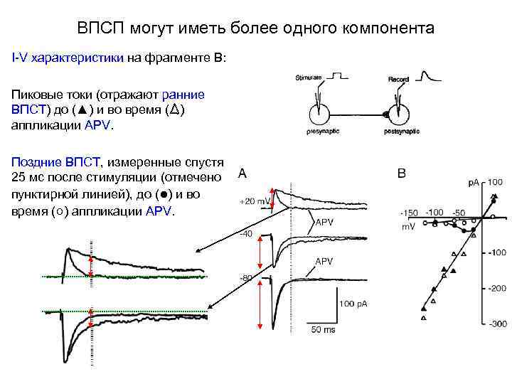 ВПСП могут иметь более одного компонента I-V характеристики на фрагменте В: Пиковые токи (отражают