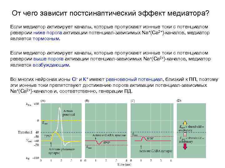 От чего зависит постсинаптический эффект медиатора? Если медиатор активирует каналы, которые пропускают ионные токи