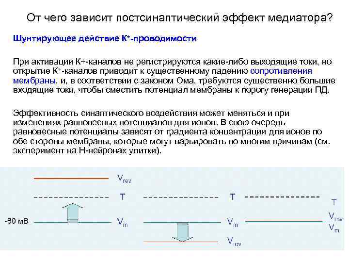 От чего зависит постсинаптический эффект медиатора? Шунтирующее действие К+-проводимости При активации К+-каналов не регистрируются