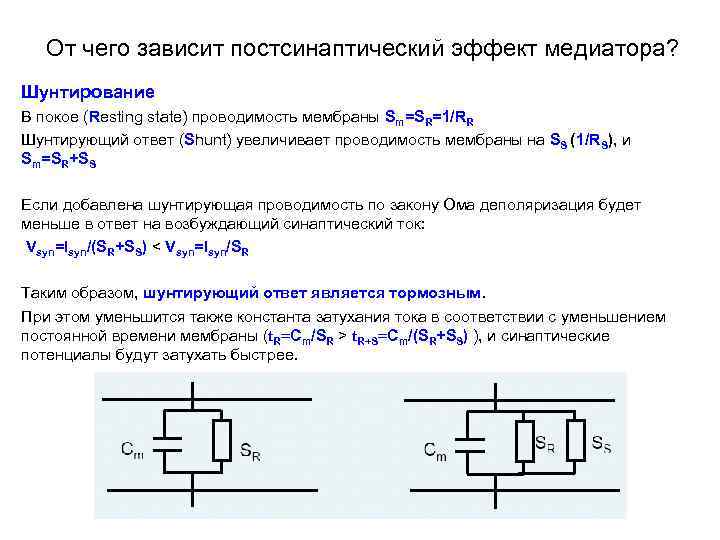 От чего зависит постсинаптический эффект медиатора? Шунтирование В покое (Resting state) проводимость мембраны Sm=SR=1/RR