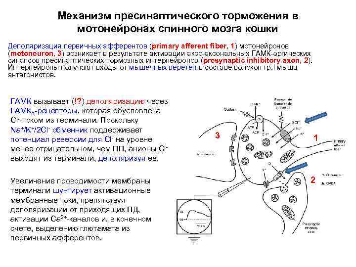 Механизм торможения