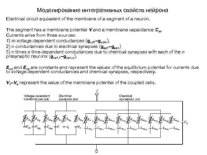 Моделирование интегративных свойств нейрона Electrical circuit equivalent of the membrane of a segment of