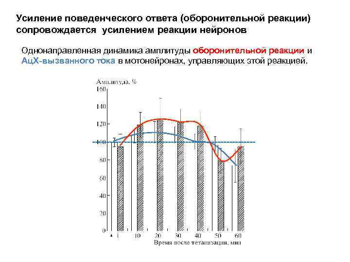 Усиление поведенческого ответа (оборонительной реакции) сопровождается усилением реакции нейронов Однонаправленная динамика амплитуды оборонительной реакции