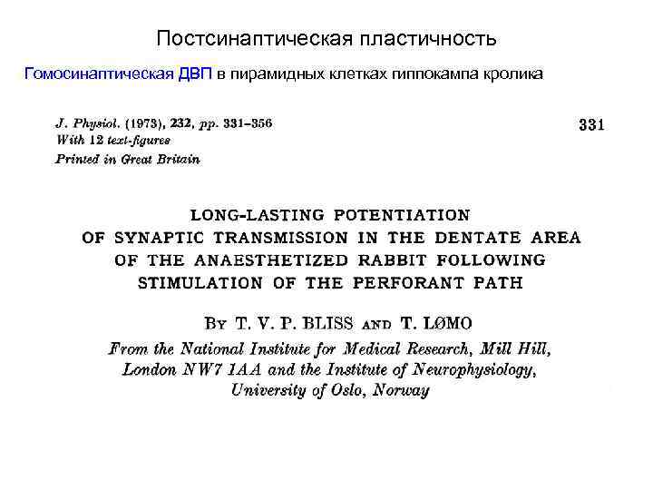 Постсинаптическая пластичность Гомосинаптическая ДВП в пирамидных клетках гиппокампа кролика 
