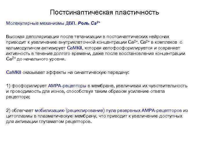 Постсинаптическая пластичность Молекулярные механизмы ДВП. Роль Са 2+ Высокая деполяризация после тетанизации в постсинаптических