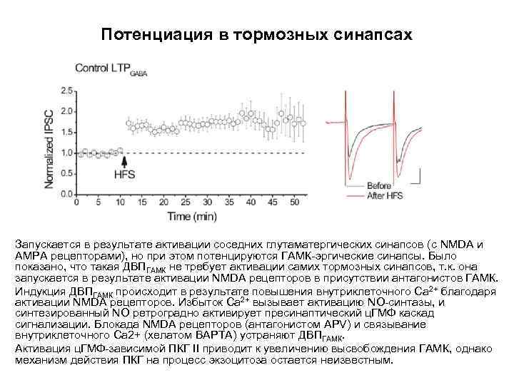 Потенциация в тормозных синапсах Запускается в результате активации соседних глутаматергических синапсов (с NMDA и