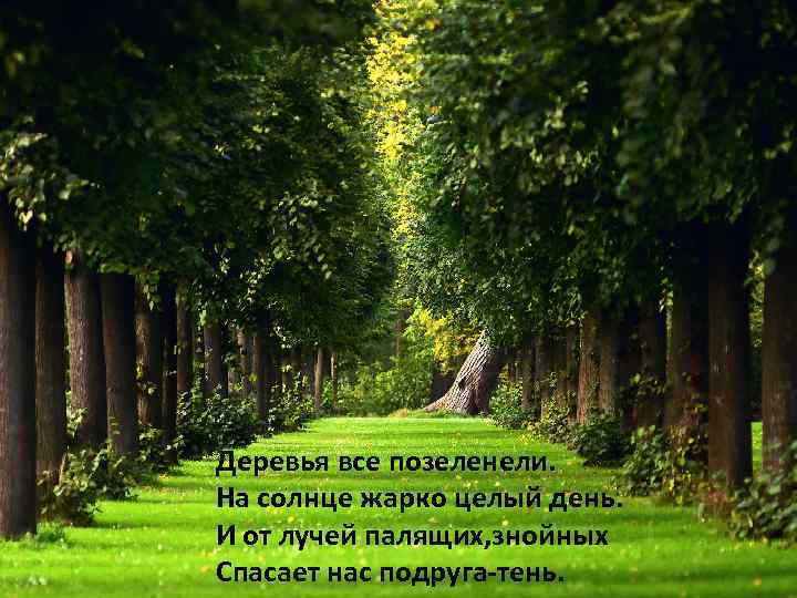 Деревья все позеленели. На солнце жарко целый день. И от лучей палящих, знойных Спасает