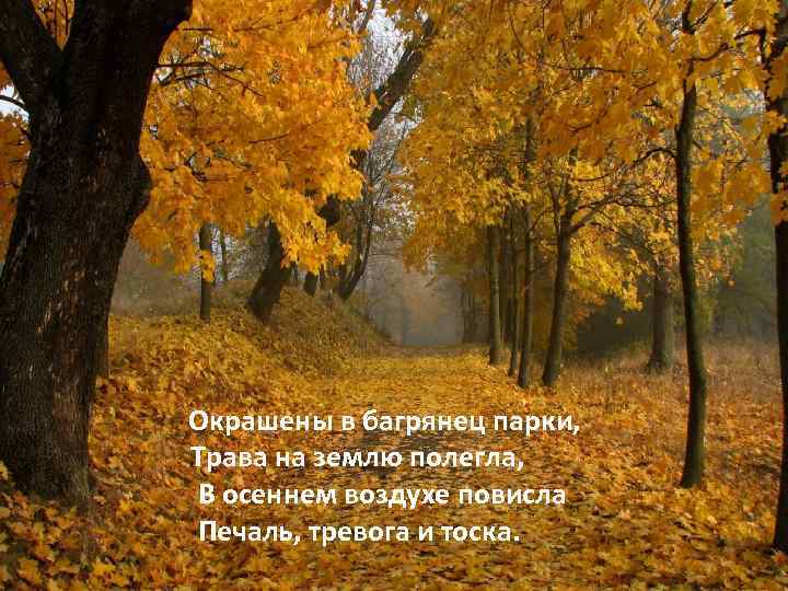 Окрашены в багрянец парки, Трава на землю полегла, В осеннем воздухе повисла Печаль, тревога